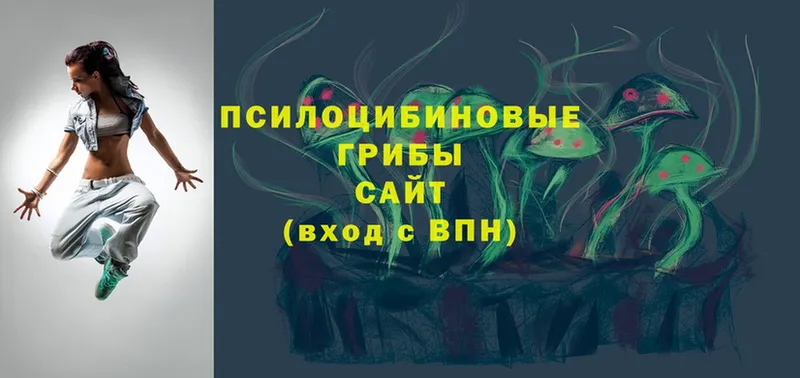 Галлюциногенные грибы Magic Shrooms  купить наркоту  Вельск 